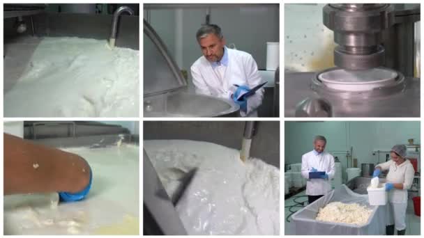 Fabricação Produtos Lácteos Planta Processamento Laticínios Multi Screen Video Pasteurização — Vídeo de Stock