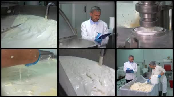 乳制品生产 乳制品工厂 多屏视频 乳品加工厂的乳品杀菌工艺 乳制品制造厂 在奶酪工厂工作的男人和女人 工人撇去牛奶中的奶油 — 图库视频影像