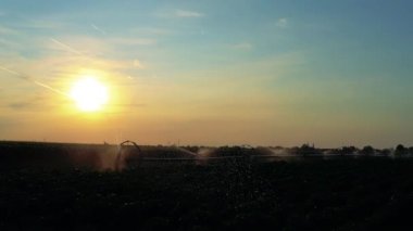 Sulama Suyu Söndürme Sistemi Sunset 'teki bir tarlada yetişen mahsulün üzerine... Yavaş Hareket. Tarım Tarlalarının Üzerinde Güzel Günbatımı. Tarım Sulama Sistemi Sulama Biber Alanı.