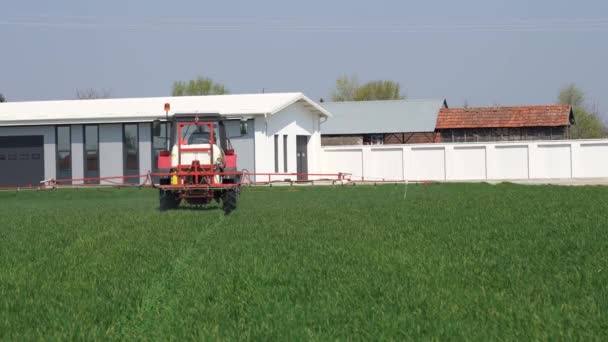 Spraya Vete Med Fungicide Jordbrukstraktor Sprutar Grönt Vetefält Vinka Grönt — Stockvideo