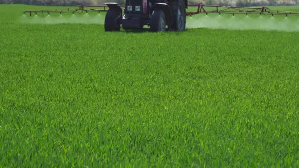 Tractor Rociando Campo Trigo Verde Pulverización Trigo Con Fungicida Ondeando — Vídeo de stock