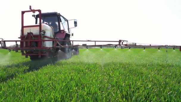 農業トラクター春にコムギ畑を噴霧 スローモーション フィールドで働くマウントされた作物保護スプレーヤー 殺菌剤で小麦を噴霧 — ストック動画