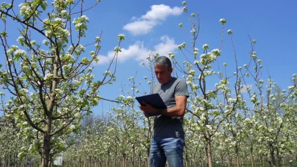 Farmer Writing Clipboard Blooming Orchard Inglés Hombre Con Portapapeles Caminando — Vídeos de Stock