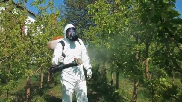 Farmer Spraying Fruit Orchard Con Mochila Motorizada Pulverizador Atomizador Agricultor — Vídeos de Stock