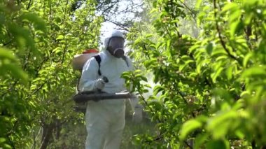 Gaz Maskeli Çiftçi Atomizer Spreyle Meyve Spreyi. Baharda Kişisel Koruyucu Ekipman Meyve Bahçesi İşçisi.
