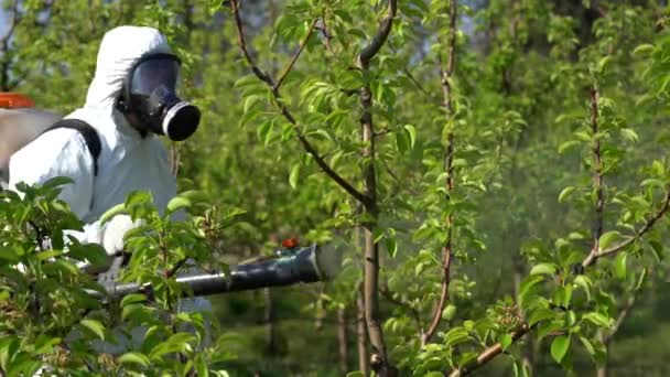 Boer Beschermende Apparatuur Spuiten Boomgaard Met Rugzak Atomizer Sprayer Boer — Stockvideo