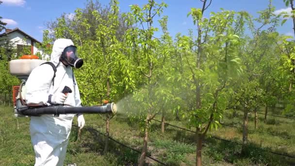 Landwirt Schutzausrüstung Sprühen Obstgarten Mit Zerstäuber Sprayer Streuobstwiese Zeitlupe Bauer — Stockvideo