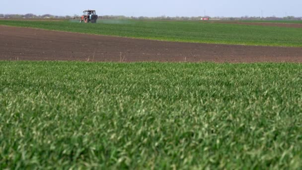 Spraya Ett Vetefält Våren Monterad Crop Protection Sprayer Arbetar Fält — Stockvideo