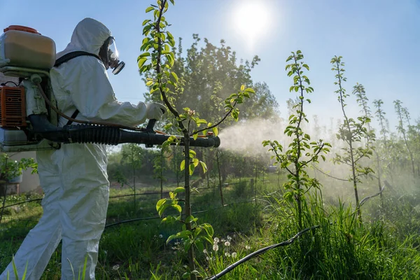 обробка дерев від шкідників
