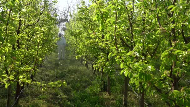 Meyve Spreyi Çiftçi Baharda Kimyasallarla Meyve Bahçesi Gaz Maskeli Çiftçi — Stok video