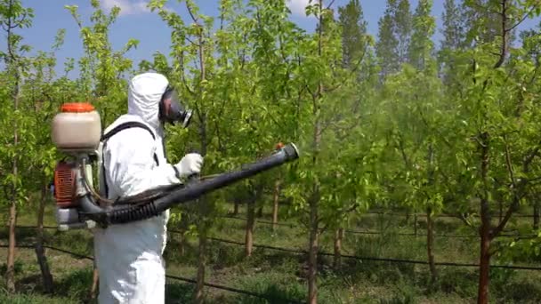 园圃喷洒 春季农民喷洒有毒农药的园圃 套上防毒面具的农民用雾化喷雾器喷洒果园 — 图库视频影像