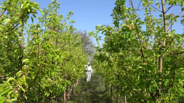 Fruit Grower Protective Suit Gas Mask Using Atomizer Sprayer Spraying — Stock Video