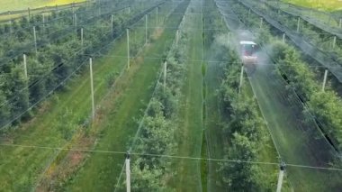 Traktör, Elma Bahçesi 'ni dolu koruma ağıyla spreyliyor. Çiftçi Traktörü Elma Bahçesi 'ne doğru sürüyor. Elma Ağacı, traktörle püskürtüyor. Elma Yetiştirme Üzerine Yaşa Koruma Ağı.