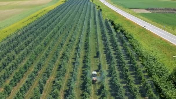Traktor Sprüht Apfelplantage Luftaufnahme Landwirt Fährt Traktor Durch Apfelplantage Apfelbaum — Stockvideo