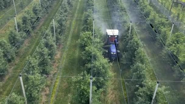Nagranie Lotu Ptaka Tractor Spraying Orchard Wiosną Farmer Prowadzenie Ciągnika — Wideo stockowe