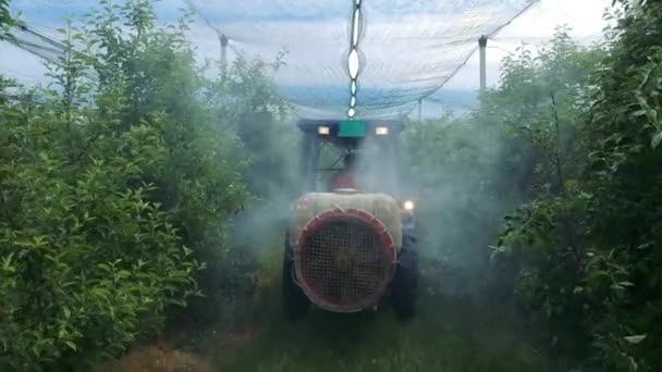 Spray Trattori Insetticida Apple Orchard Spruzzare Nebbia Dietro Trattore Agricoltore — Video Stock