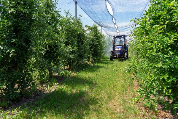 トラクターでAppleオーチャードの上のヘイル保護ネットは アクションでブルーイングオーチャードスプレーを操作しました アップルオーチャードを介して農家の運転トラクター Apple Treeトラクターでスプレーする 有毒農薬や殺虫剤を使用した農家のスプレー木 — ストック写真