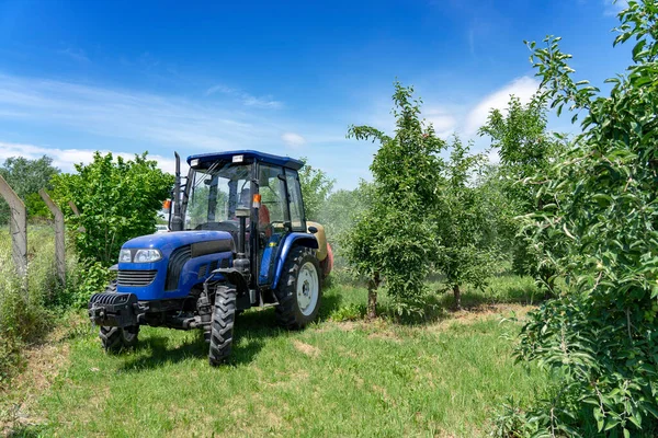 Tractor Sprays Apple Orchard in Springtime. Farmer Driving Tractor Through Apple Orchard. Apple Tree Spraying with a Tractor. Farmer Sprays Trees With Toxic Pesticides or Insecticide.
