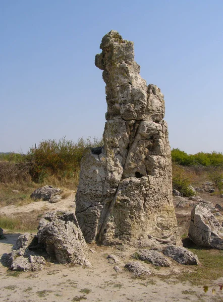 Forêt Pierres Varna Bulgarie — Photo