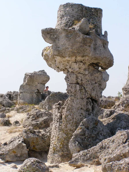 Phénomène Naturel Stone Forest Près Varna Bulgarie — Photo