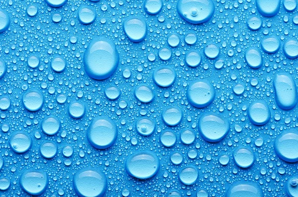 Water drops on a blue background — Stock Photo, Image