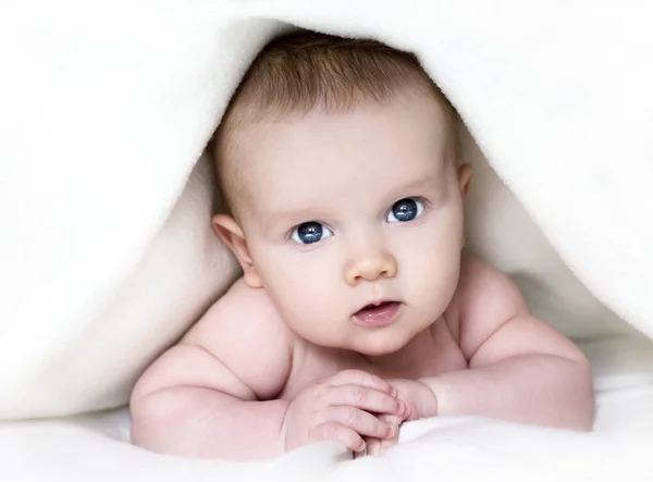 Baby under blanket Stock Image