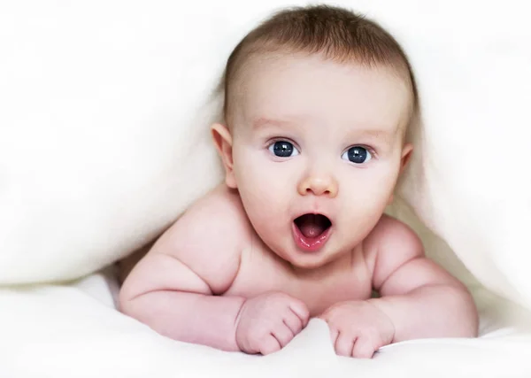 Baby under blanket — Stock Photo, Image