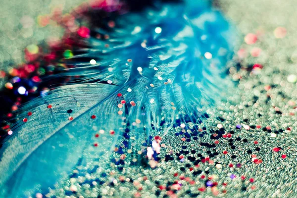 Macro scatto di piume e glitter — Foto Stock