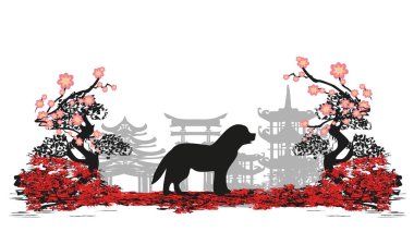 Çince Zodyak köpek yılı