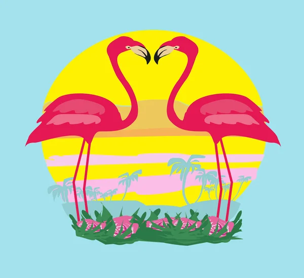 Zonsondergang en roze flamingo 's — Stockvector
