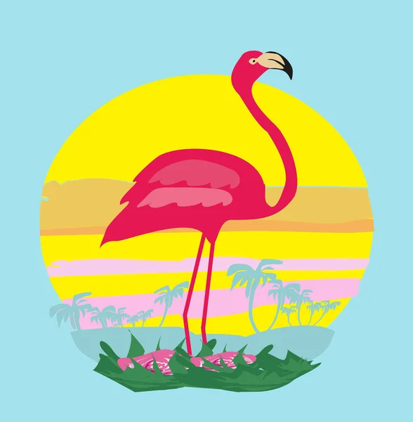 Sunset and pink flamingo — Stock Vector