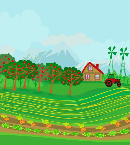 Paysage Rural Avec Carotte Laitue — Image vectorielle