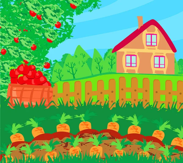 Rural Landscape Apple Trees Carrots — Stock Vector