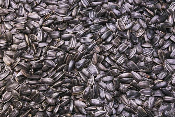 black sunflower seeds background, texture