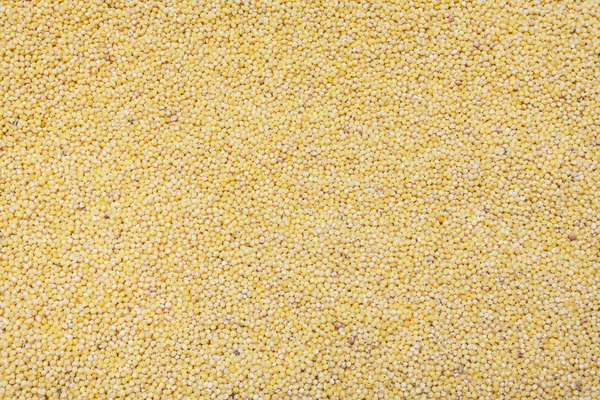 yellow millet cereal background, texture