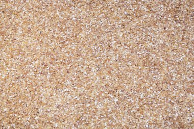 Buğday tahıl arka plan, doku