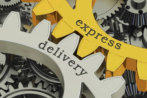 express delivery concept on the gearwheels, 3D rendering