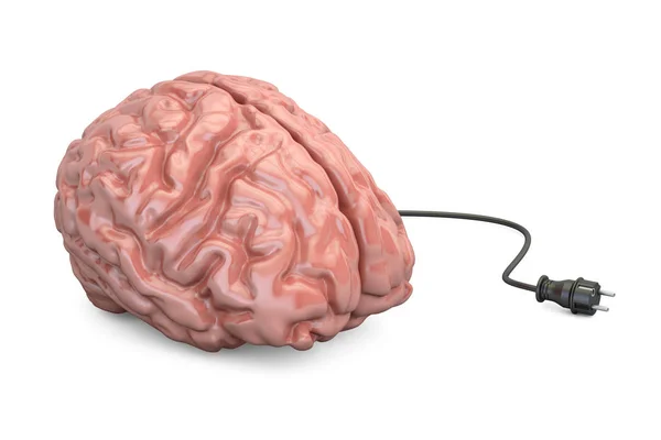 Hjärnan och power plug, tänkande koncept. 3D illustration — Stockfoto