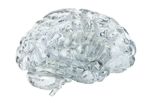 Verre cerveau transparent, rendu 3D — Photo