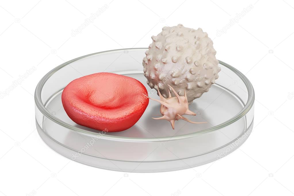 blood cells in petri dish, 3D rendering 