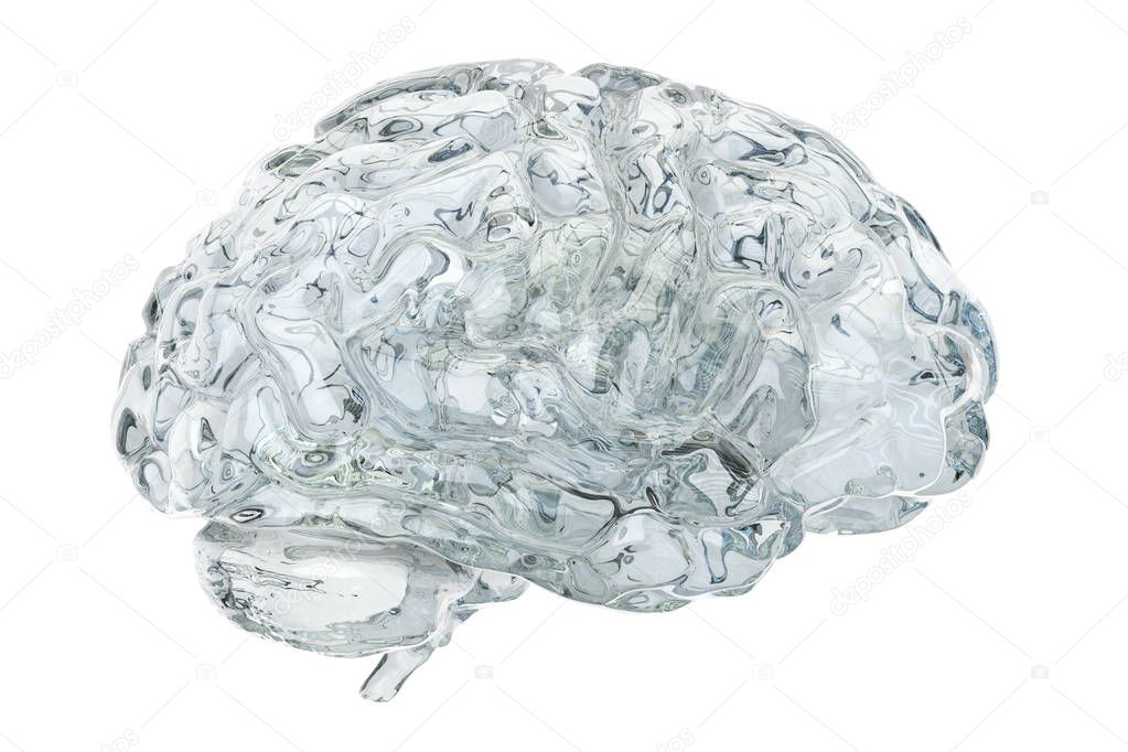 Glass transparent brain, 3D rendering