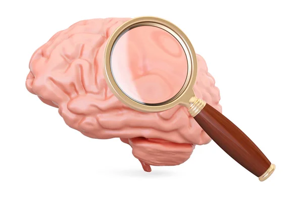 Cerebro humano con lupa, representación 3D —  Fotos de Stock