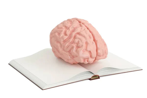 Открытая пустая книга с человеческим мозгом, 3D рендеринг — стоковое фото