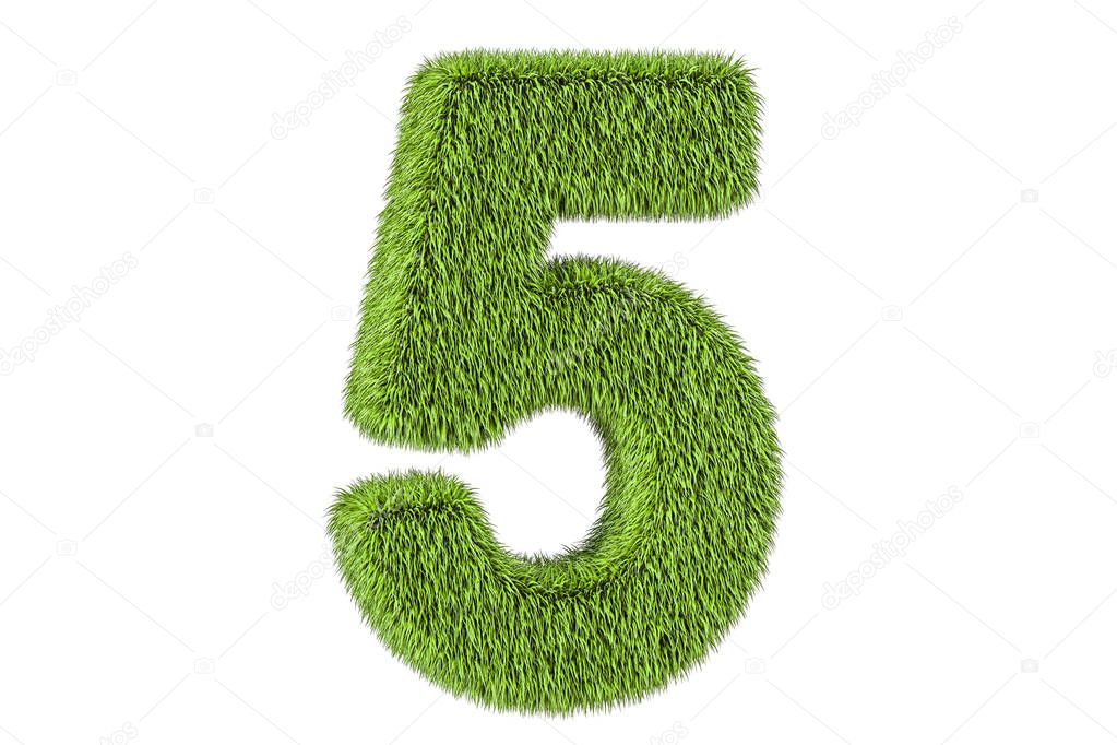 number 5 from grass, 3D rendering