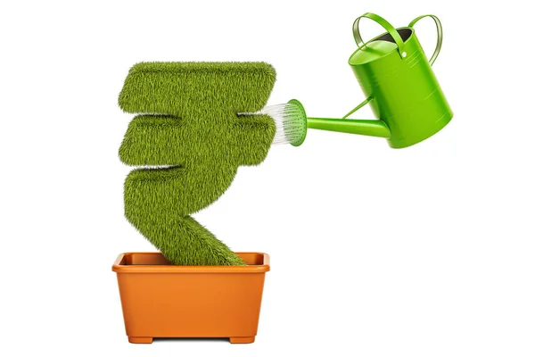 Watering can water grassy rupee symbol. Money plant concept, 3D — Stock Photo, Image