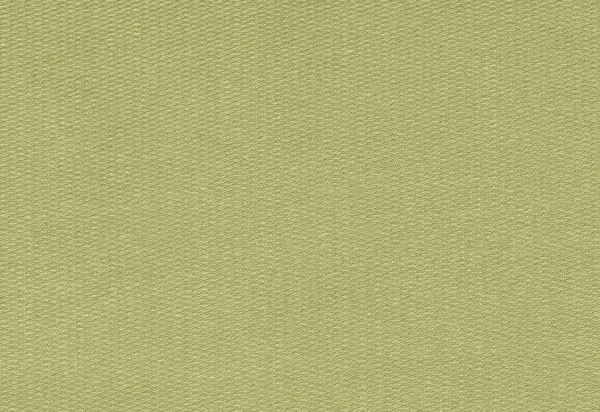 Polyamide fabric background, texture. Light green color, high re