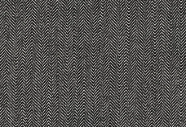 Poliviskon arenque con forro polar, fondo de textura de color gris — Foto de Stock