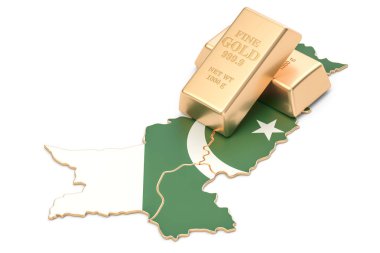 Pakistan kavramı, 3d render-Döviz rezervleri