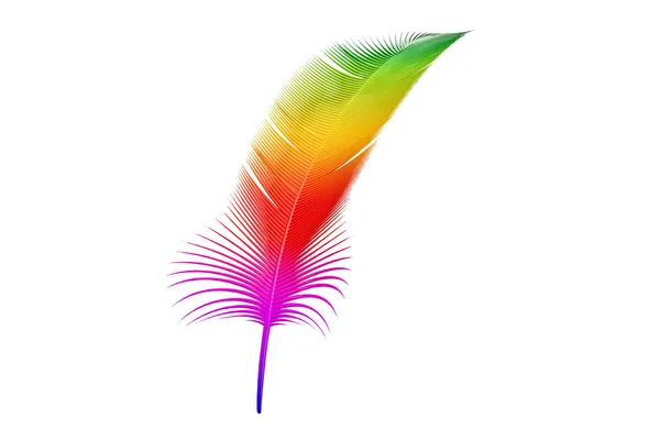 Plume colorée, rendu 3D — Photo