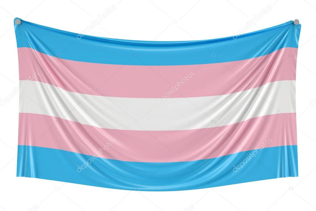 Transgender flag hanging on the wall, 3D rendering 